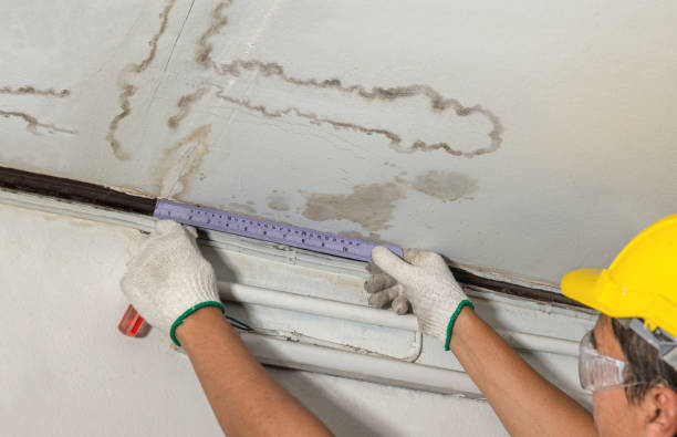 Reliable Water Damage contractor in Lyons, GA by Water Damage Irwin